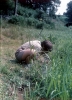 Oslavka_71_001.jpg