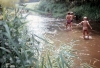 Vesela_72_043.jpg
