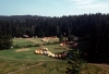 Vesela_72_087.jpg