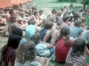 zeletavka_68_202.jpg