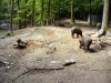 005-tabor-2011-08-02.jpg