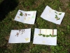 084-tabor-2011-08-05.jpg