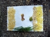 094-tabor-2011-08-05.jpg