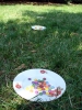 096-tabor-2011-08-05.jpg