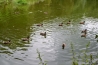 081-primestsky_tabor.JPG
