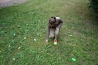 099-primestsky_tabor.JPG