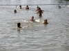 003-tabor-2011-08-24.jpg