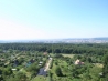 R1142955.JPG