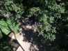 R1142981.JPG