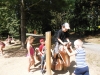 prim_tab_2012-08-30_207.jpg