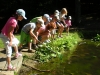 003_prim_tab-12-07-2011.jpg