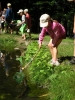 004_prim_tab-12-07-2011.jpg