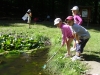 015_prim_tab-12-07-2011.jpg