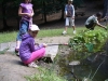 023_prim_tab-12-07-2011.jpg