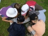 024_prim_tab-12-07-2011.jpg