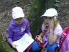 038_prim_tab-12-07-2011.jpg