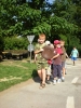 067_prim_tab-13-07-2011.jpg