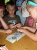 077_prim_tab-13-07-2011.jpg