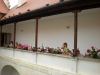 142_prim_tab-14-07-2011.jpg
