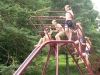 168_prim_tab-14-07-2011.jpg