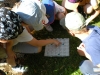 178_prim_tab-15-07-2011.jpg