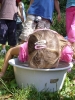 191_prim_tab-15-07-2011.jpg