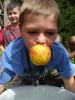 196_prim_tab-15-07-2011.jpg