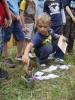 228_prim_tab-15-07-2011.jpg