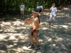 dscn6609.jpg