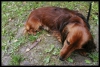129_primtabor_27-08-2010.jpg