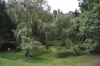 DSC_3178.jpg
