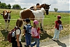 007_12-32.JPG