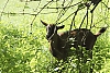 028_09-59.JPG