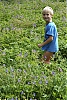087_14-32.JPG