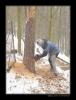 Makacka-2009-01016.jpg