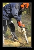 2009-04-15_Pila027.jpg