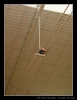 009_2010-04-9-11_RCVT.jpg