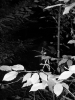 2010-10-22_rovervylet_05.jpg
