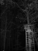 2010-10-22_rovervylet_09.jpg