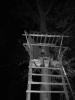 2010-10-22_rovervylet_10.jpg