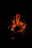 2010-10-22_rovervylet_21.jpg