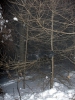 P1150037.JPG
