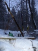 P1150053.JPG
