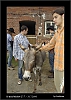 025_wild-west_27-07.jpg