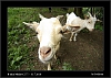 034_wild-west_27-07.jpg