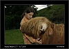 048_wild-west_27-07.jpg