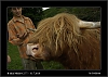 049_wild-west_27-07.jpg