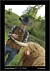 052_wild-west_27-07.jpg