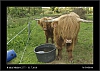 053_wild-west_27-07.jpg
