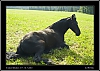 061_wild-west_28-07.jpg